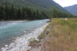 山间清澈河流自然风光