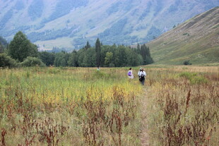 山间徒步者穿行于草地