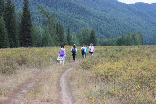 徒步者穿行于山野小径