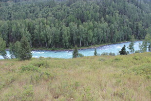 山间河流旁的葱郁景色