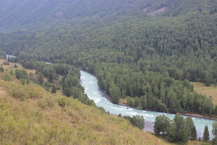 山间蜿蜒河流与葱郁植被