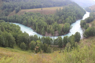 山间蜿蜒河流与葱郁林木