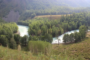 山间蜿蜒河流与葱郁树林
