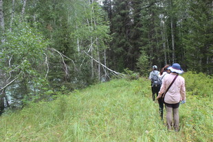 徒步者穿行于林间草地