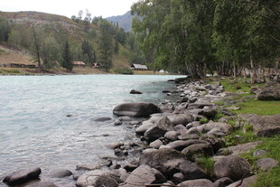 湖畔岩石与葱郁树木景观