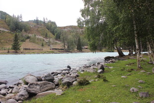湖畔风景 岸边草木与石块