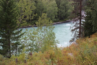 山林间的清澈河流