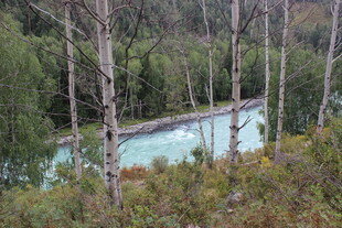 山林间的静谧河流
