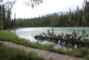 湖畔木栈道的自然美景