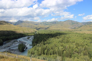 山间绿野河流美景