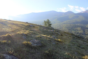 山间美景 草地与远山
