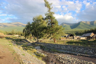 乡村田野间的宁静景致