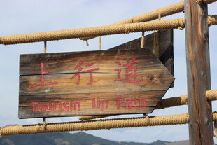 木质指示牌指引前行方向