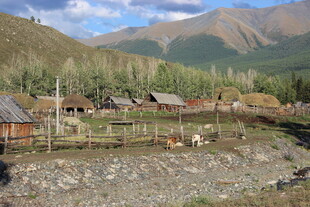 山间村落田园风光