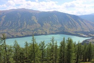 高山湖畔的翠绿森林景观