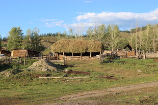 乡村原野中的木屋与树林
