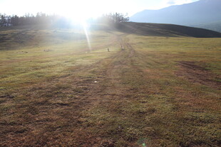 阳光照耀下的开阔原野