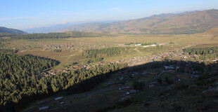 山间开阔林地风景