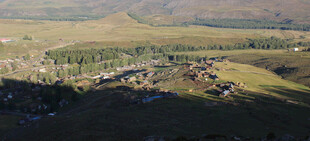 乡村田园风光俯瞰图