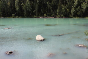 碧绿湖景中的孤石