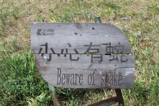 小心有蛇警示牌