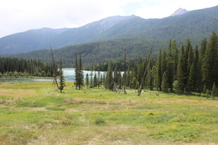 山间草地旁的静谧湖泊