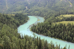 蜿蜒河流穿行于茂密森林