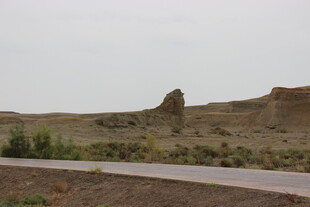 荒漠中的蜿蜒道路
