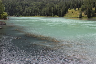 清澈碧绿的山间河流景色