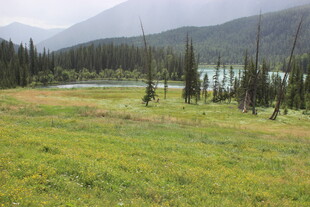 山间草地与远处河流风景