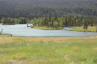 湖畔草原风光美景