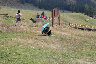 户外草地多人运动场景