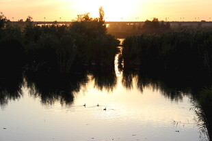 夕阳下的静谧河岸风光