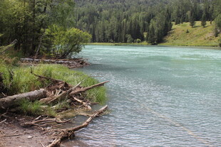 山间清澈河流岸边风景