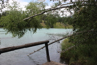 湖畔木栏旁的自然景致