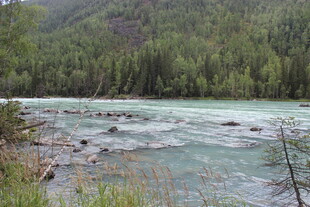 山间清澈河流与茂密树林