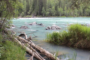 山间溪流畔的自然景致