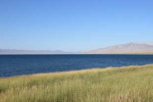 湖畔草地 蓝天碧水美景