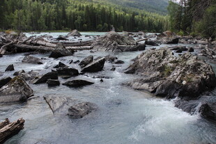 山间湍急溪流与漂流木