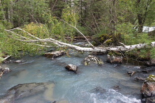 山间溪流 自然清新景致