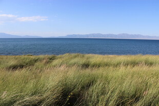 海边草地与辽阔蓝色海洋