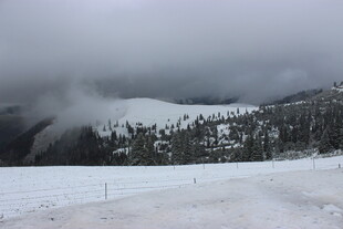 雪覆山林的朦胧冬日景象