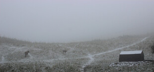 雾中旷野里的小屋