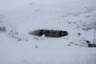 雪地中的神秘黑色物体