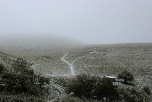 山间雾霭中的蜿蜒小路