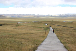 草原栈道上的漫步之旅