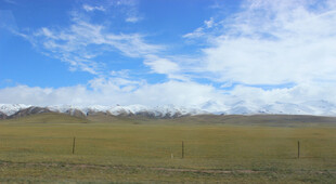 草原蓝天雪山美景