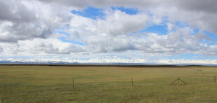 广袤草原与蓝天白云美景