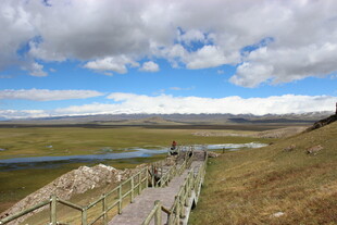 草原栈道边的美丽风光