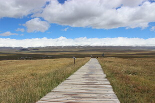 草原木栈道通向远方